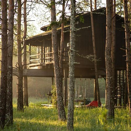 Villa Sambliku Treehouse Jogisoo Esterno foto