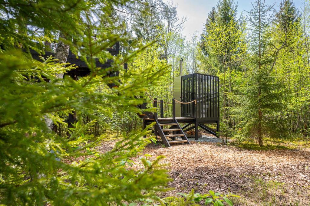 Villa Sambliku Treehouse Jogisoo Esterno foto