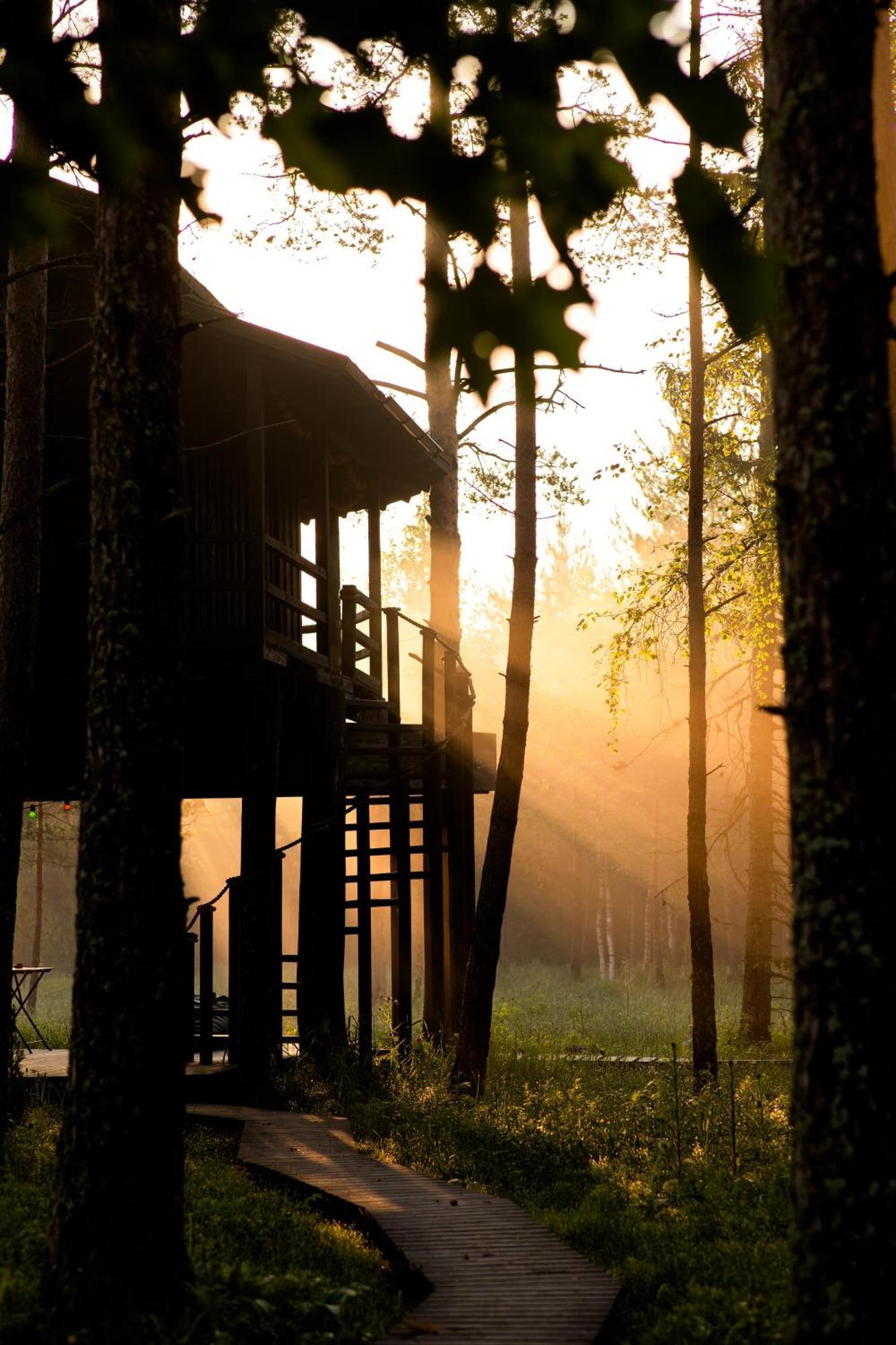 Villa Sambliku Treehouse Jogisoo Esterno foto
