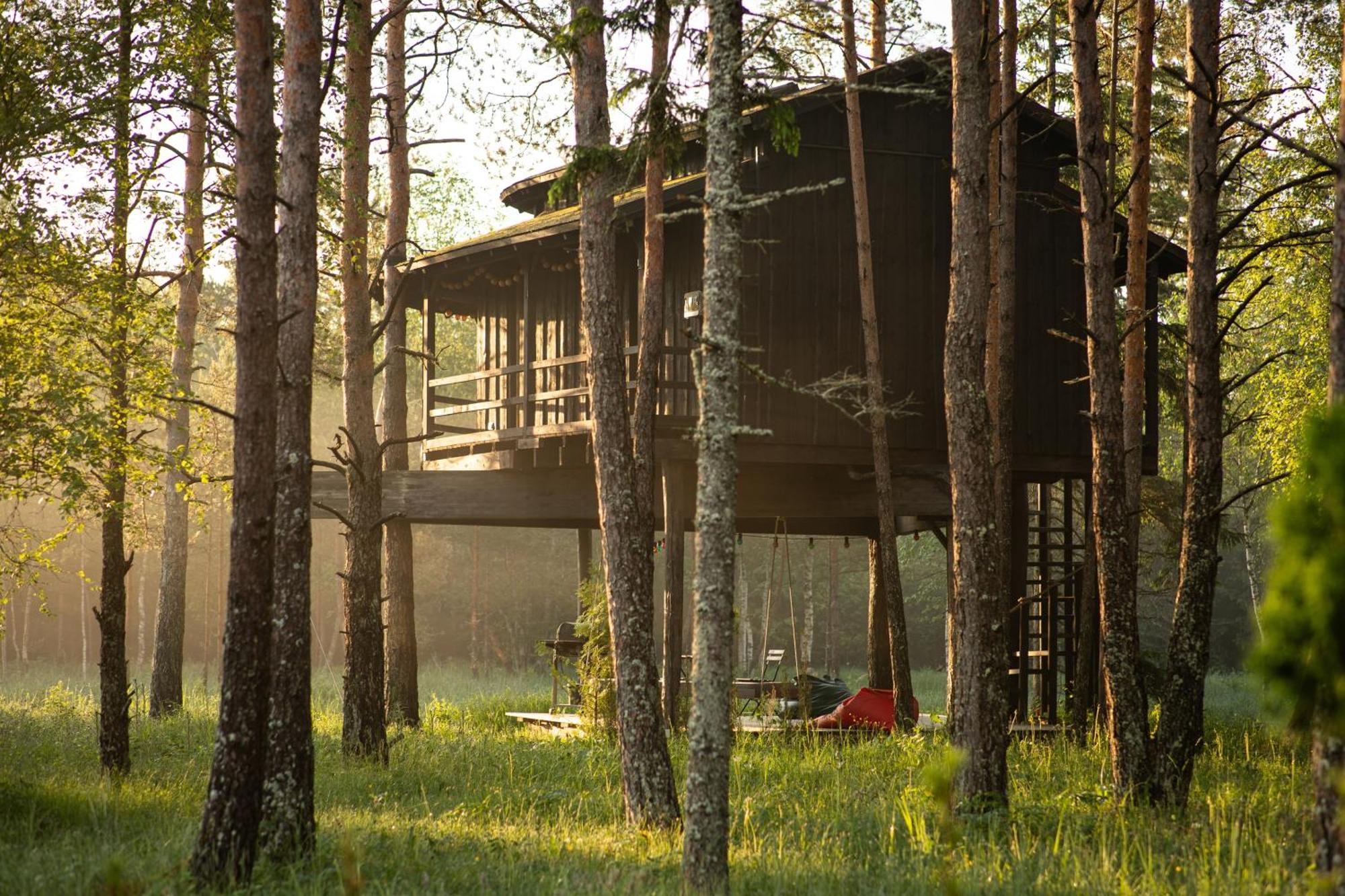Villa Sambliku Treehouse Jogisoo Esterno foto